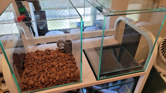 インテリアに緑を 苔テラリウムの魅力 作り方から注意点まで解説します 葉きつねブログ