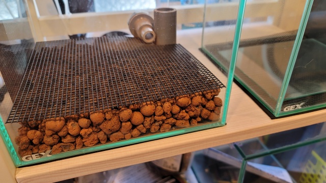 インテリアに緑を 苔テラリウムの魅力 作り方から注意点まで解説します 葉きつねブログ